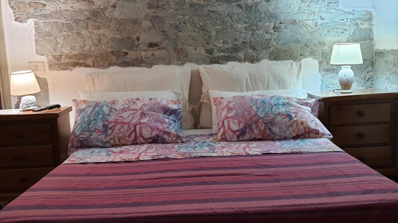 B&B Tenuta Di Vado Piano Nella Selva Di Circe Cerasella Ngoại thất bức ảnh
