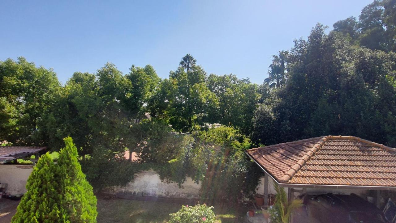 B&B Tenuta Di Vado Piano Nella Selva Di Circe Cerasella Ngoại thất bức ảnh